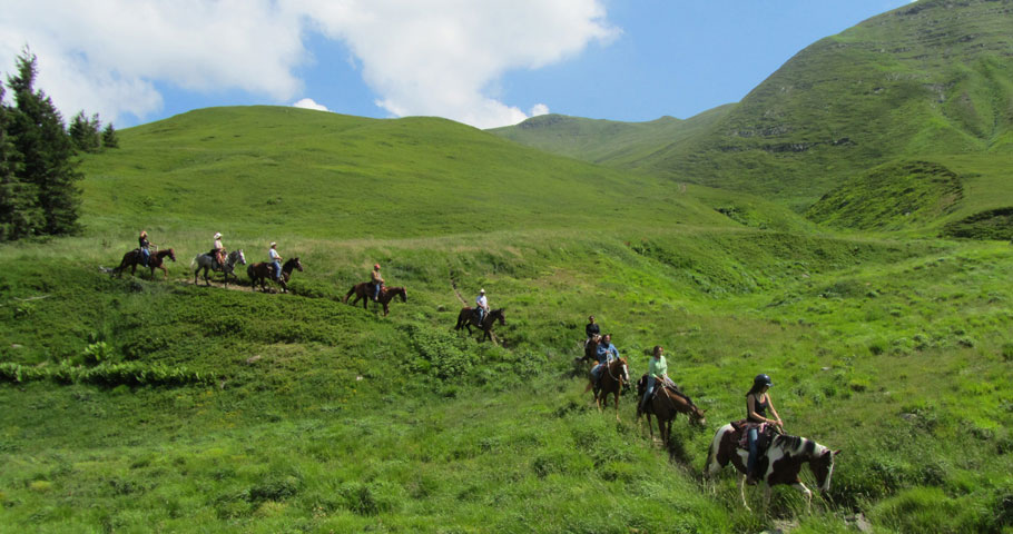 Cavalli del Mugello 3