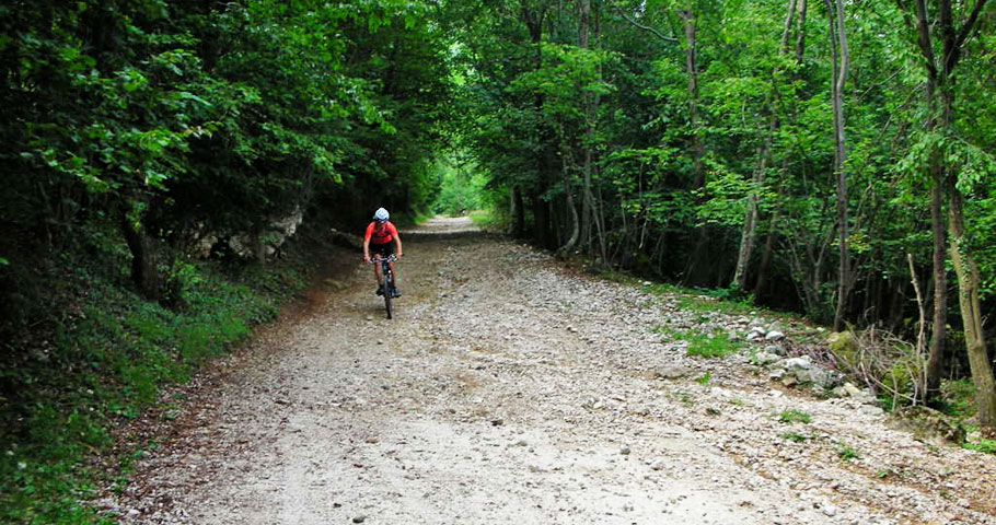 Escursioni in Mountain Bike 3