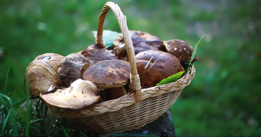La Cucina del Mugello 4