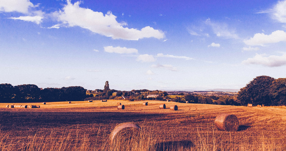 Trekking nel Mugello 2