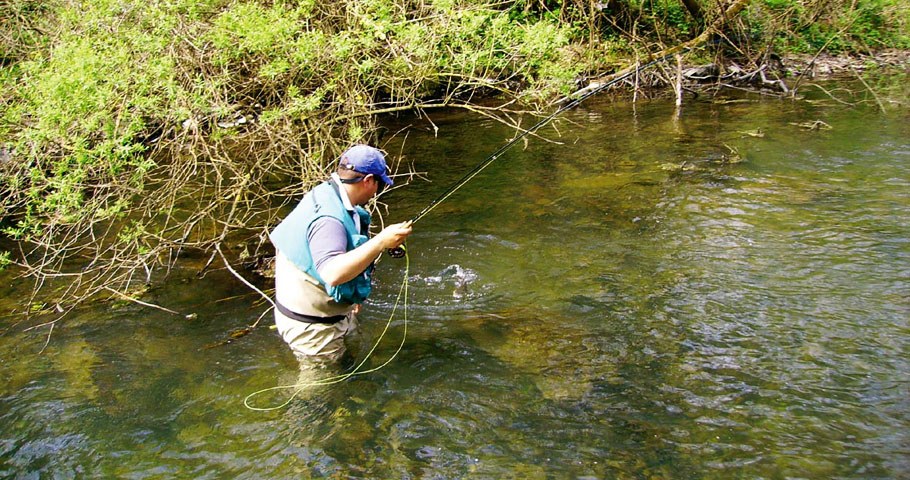 Vacanza pescare in Toscana a Tenuta Il Cerro Barberino Pesca al Lago Bilancino corsi di equitazione Mugello