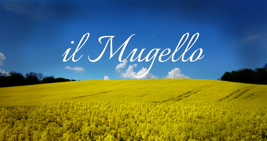 Vacanze in dimora storica a Barberino Tenuta Il Cerro Soggiorno villa storica Toscana casa vacanze piscina Mugello